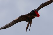 550IMG_4301