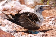 560IMG_4292