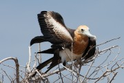 565IMG_4309