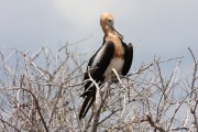565IMG_4318