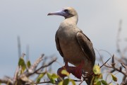 575IMG_4328