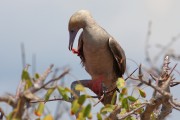 575IMG_4334