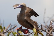 575IMG_4338