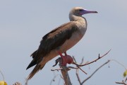 575IMG_4393