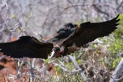 580IMG_4433