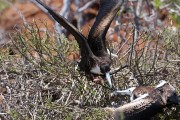 580IMG_4441
