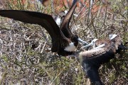 580IMG_4446
