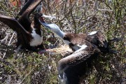 580IMG_4450