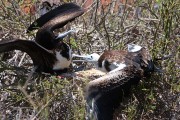 580IMG_4451