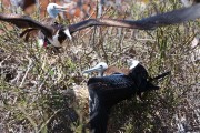580IMG_4456