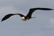580IMG_4595