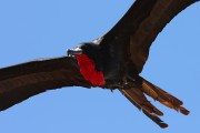 585IMG_4469