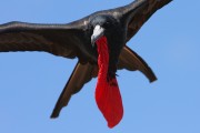 585IMG_4497