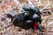 588IMG_4559