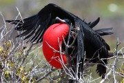588IMG_4562