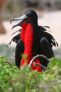 588IMG_4603