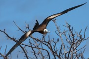 590IMG_4512