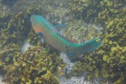 595IMG_4900