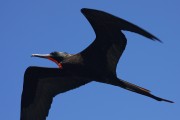 604IMG_1468