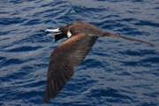 608IMG_1584