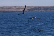 608IMG_1645
