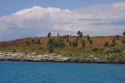 610IMG_1694
