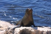 612IMG_1764