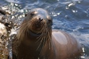 612IMG_1786