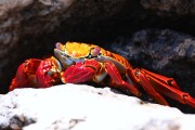616IMG_5013