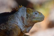 620IMG_5034