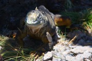 622IMG_1924