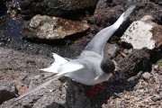 624IMG_1909