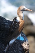 627IMG_5095