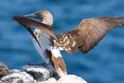 627IMG_5161