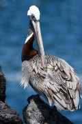 627IMG_5171