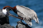 627IMG_5178