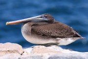 627IMG_5185