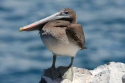 627IMG_5267
