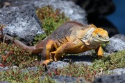 628IMG_5195