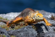 628IMG_5203
