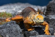 628IMG_5206