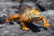 628IMG_5210