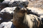 704IMG_2239