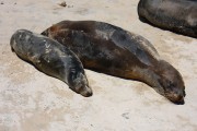 704IMG_2245