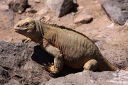 710IMG_2493