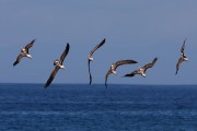 714IMG_2510