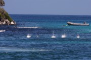 714IMG_2527