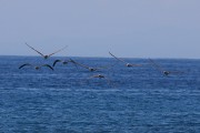 714IMG_2535