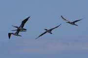 714IMG_2543