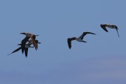 714IMG_2544